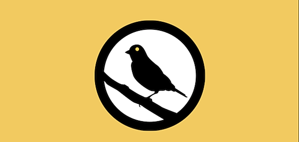 Кричащая тишина: что такое Warrant Canary и почему его исчезновение должно вас беспокоить?